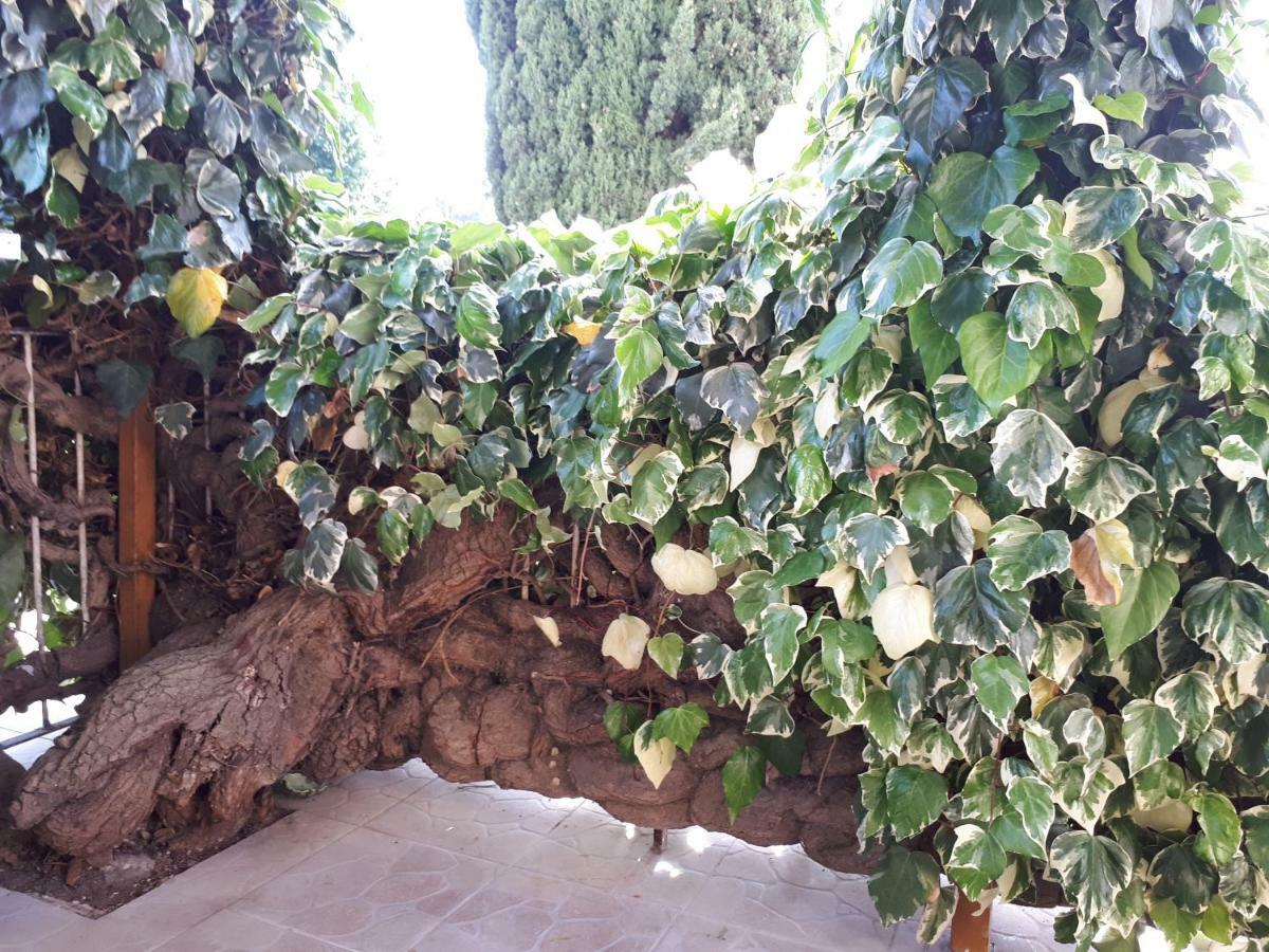 La Mia Resilienza Nei Sassi Di Matera Otel Dış mekan fotoğraf